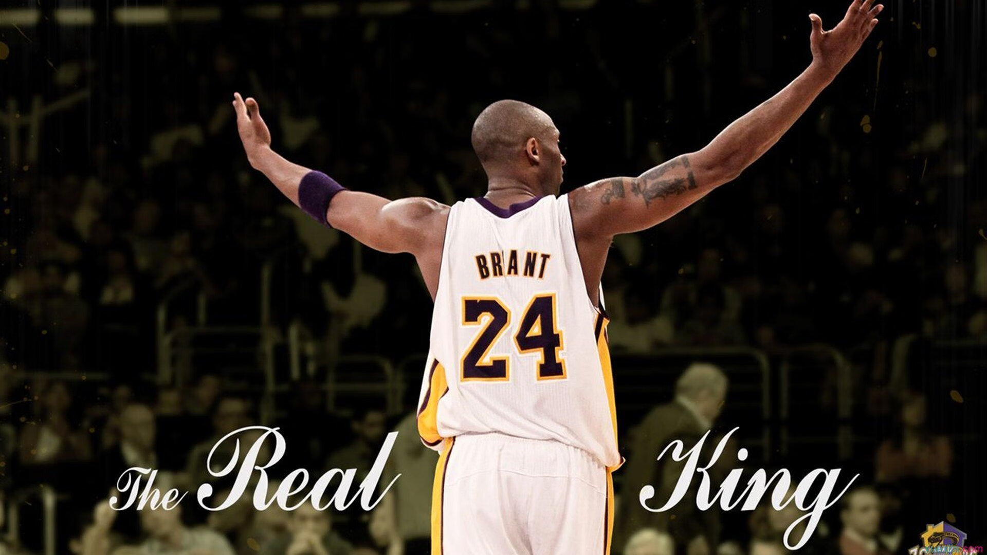 2026年F1新政策解读，f1明年最新规则