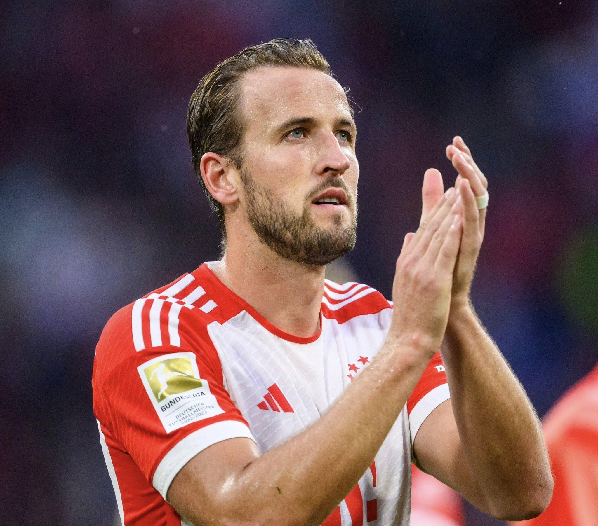 包含凯恩在拜仁：适应得怎么样？的词条